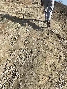 geroAguilar online show from February 28, 12:48 pm