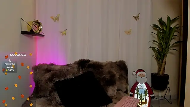 Kaaiiri online show from December 20, 1:04 pm