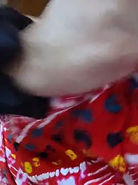 SExy ria 1993 online show from August 1, 11:56 am