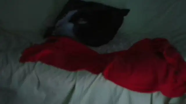 VeneRed online show from September 15, 10:17 pm