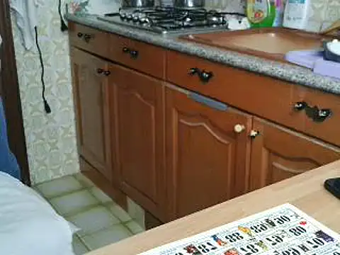 VeneRed online show from October 12, 12:51 pm