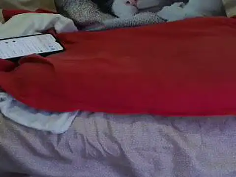 VeneRed online show from October 16, 7:16 pm