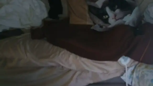 VeneRed online show from October 9, 12:31 pm