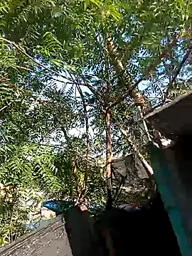 tayson  online show from November 6, 12:55 pm