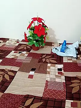 Snapshot of Saroj-Shah chatting on October 13, 9:23 am Saroj-Shah online show from October 13, 9:23 am