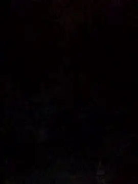 dosynophia2 online show from February 3, 1:38 am