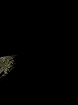 QUEEN-X-CPL online show from September 17, 6:17 pm