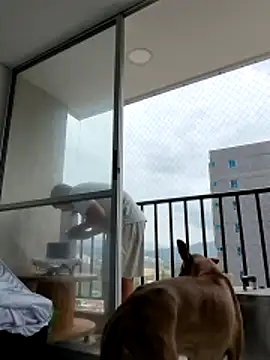 boss of cash online show from March 21, 8:36 pm