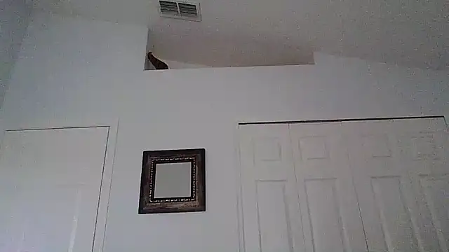 Snapshot of tendertormentt chatting on October 11, 4:53 pm tendertormentt online show from October 11, 4:53 pm
