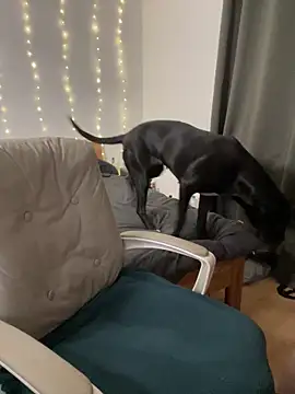 AnnyBelleX online show from October 5, 5:07 pm