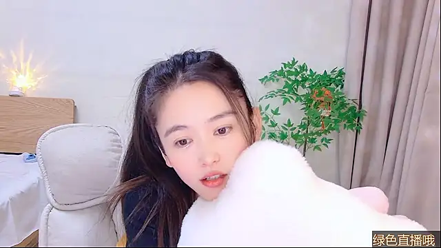 CN-Babycat online show from February 3, 6:40 am