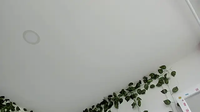 Laurensmith9 online show from July 15, 4:55 pm