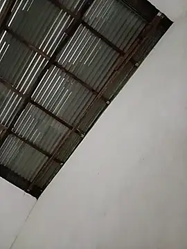 -Nicol online show from January 19, 10:55 am