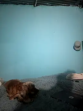 Ariell Kieran online show from November 30, 3:11 am