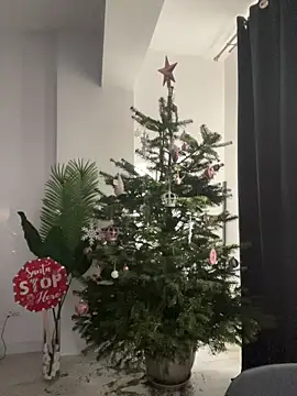 Celine Roxelle online show from November 25, 11:01 am