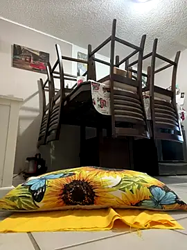 HTXBELLE online show from December 19, 8:23 pm