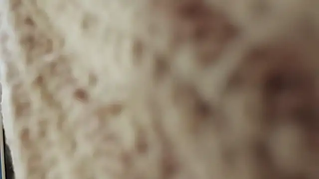 Snapshot of Elise_Nyx chatting on September 27, 2:24 pm Elise Nyx online show from September 27, 2:24 pm