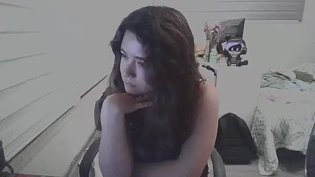 Piolapk online show from November 21, 2:13 am