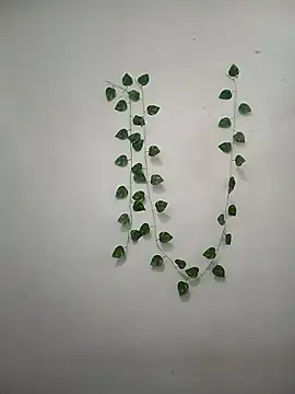 Neha-Bhabhi-Rasily online show from March 6, 4:40 am