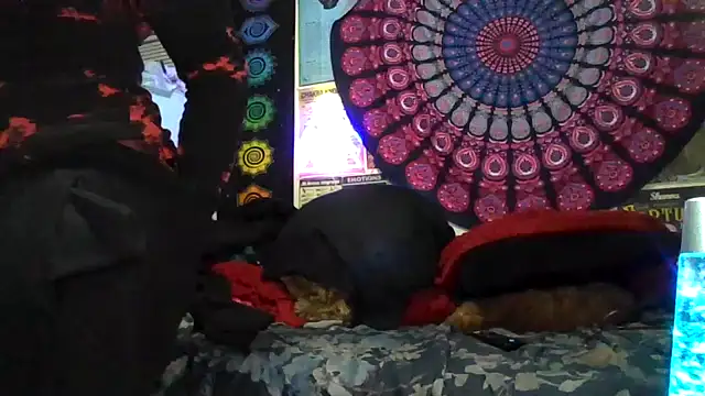 GardeniaFields online show from January 19, 6:31 am