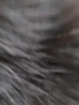 Emilybutterfly1 online show from November 5, 5:18 pm