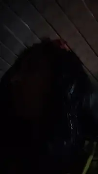 Elowyn online show from March 26, 11:28 pm