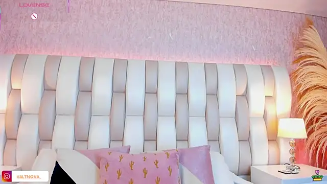 valt  online show from November 11, 8:50 pm