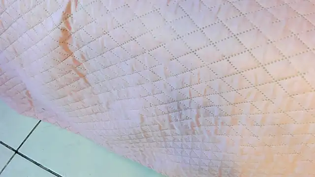  jasmine blush online show from March 22, 1:39 pm