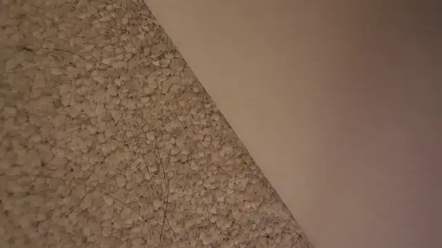 Desire-XOXOX online show from October 23, 5:41 pm