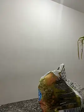 megan bigboobs  online show from September 14, 7:23 pm