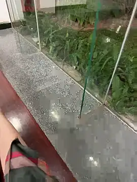 Meii-meyy online show from November 25, 2:30 pm