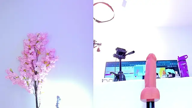 Snapshot of maily_zanss chatting on October 16, 7:49 pm maily zanss online show from October 16, 7:49 pm