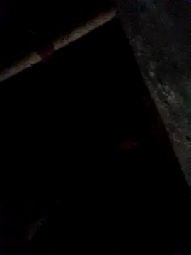 Bianly online show from November 29, 12:31 pm