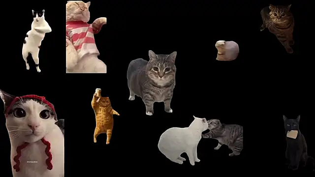 ch0wn m online show from December 4, 2:41 pm