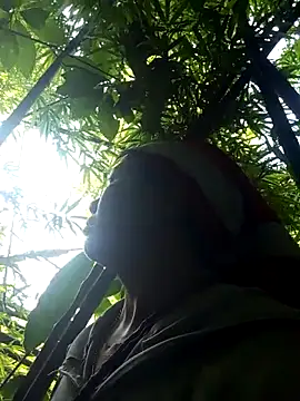 Bibilenu online show from December 1, 4:27 am