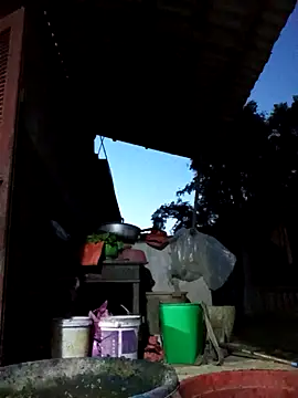 Bibilenu online show from October 19, 11:01 am