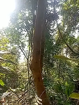 Phuongphuongg online show from December 15, 8:41 am