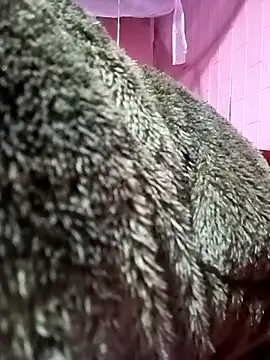 optra34 online show from February 3, 6:40 am