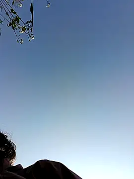 optra34 online show from November 26, 2:12 am