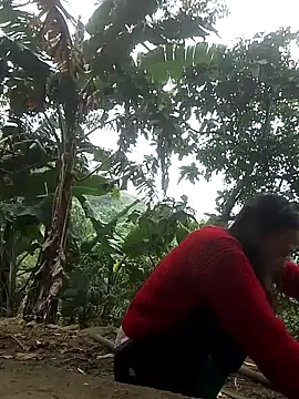 optra34 online show from November 12, 1:14 am