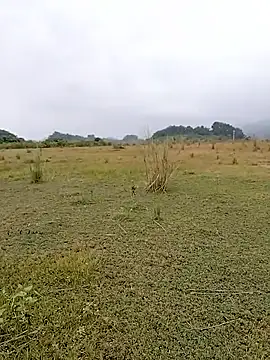 asian 2k online show from October 31, 2:02 am