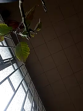 Foxxy Doll online show from October 23, 4:35 pm