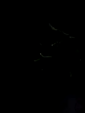 Snapshot of AmberMoss1 chatting on October 9, 1:54 am AmberMoss1 online show from October 9, 1:54 am