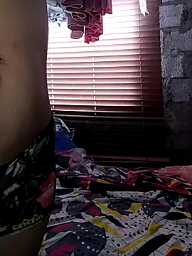 Aley 2025 online show from November 17, 4:30 pm