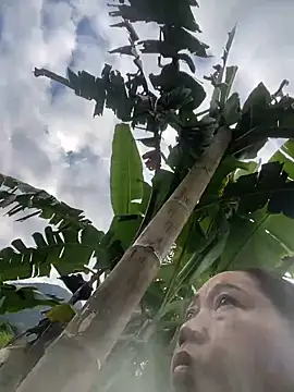 Lai005 online show from October 11, 12:59 am