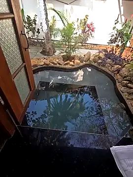 xnmx26 online show from February 25, 3:38 am