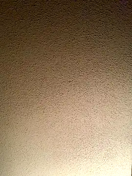 shakeweight online show from November 4, 2:55 pm