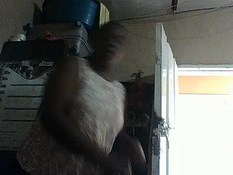 Snapshot of chocolateboobs92 chatting on October 29, 10:30 am chocolateboobs92 online show from October 29, 10:30 am