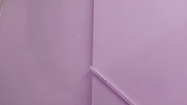 Lizbeth Rouse online show from September 9, 1:33 pm