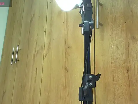 SarahLanne online show from December 13, 8:15 pm